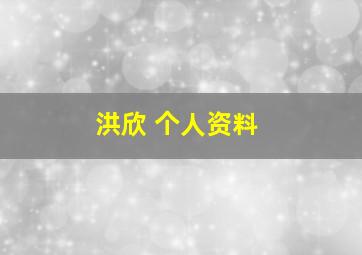 洪欣 个人资料